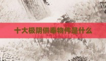 十大极阴供奉物件是什么