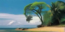 刚果十大景点是什么