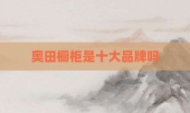 奥田橱柜是十大品牌吗