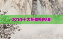 2014十大热播电视剧