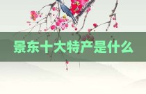 景东十大特产是什么