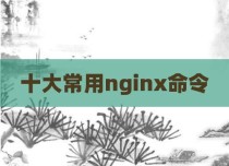 十大常用nginx命令