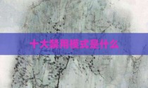 十大禁用模式是什么