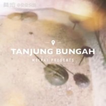 为什么中华鲎曾救过你的命？四亿年老古董竟是人类的免费血库