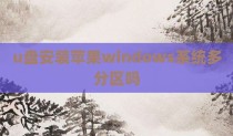 u盘安装苹果windows系统多分区吗