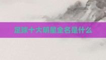 足球十大明星全名是什么