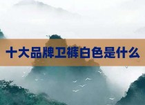 十大品牌卫裤白色是什么