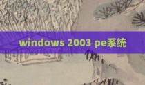 windows 2003 pe系统