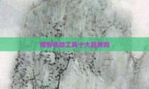 峰有电动工具十大品牌吗