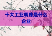 十大工业明珠是什么企业
