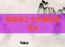 排球场上十大骗术是什么