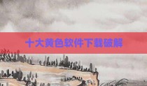 十大黄色软件下载破解