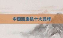 中国起重机十大品牌