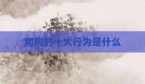 狗狗的十大行为是什么