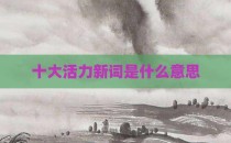 十大活力新词是什么意思