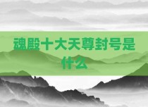魂殿十大天尊封号是什么