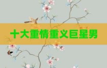 十大重情重义巨星男