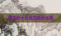 鞭子的十大技巧是什么呢