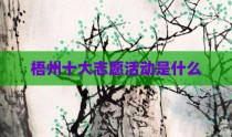 梧州十大志愿活动是什么