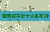 茉莉花不是十大名花吗