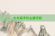 十大杯子什么牌子好