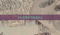 十大丑恶的飞机是什么