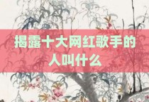 揭露十大网红歌手的人叫什么