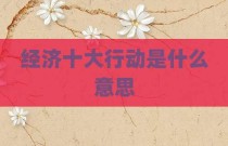 经济十大行动是什么意思