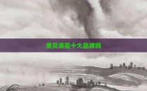 澳贝漆是十大品牌吗