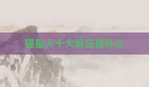 猫星人十大反应是什么