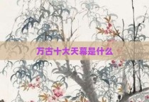 万古十大天幕是什么