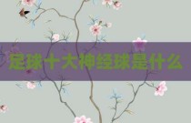 足球十大神经球是什么