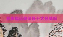梦多福记录仪是十大名牌吗