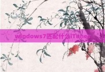 windows7匹配什么iTunes