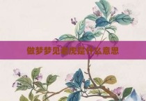 做梦梦见老虎是什么意思
