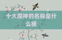 十大魔神的名称是什么梗