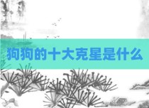 狗狗的十大克星是什么
