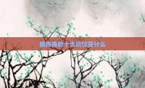 换热器的十大坑位是什么