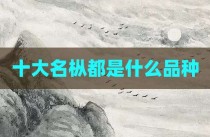 十大名枞都是什么品种