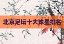 北京足坛十大球星排名