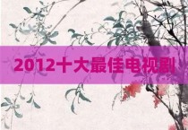 2012十大最佳电视剧