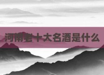 河南老十大名酒是什么