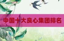 中国十大良心集团排名