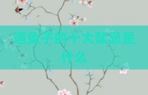 遛兔子的十大禁忌是什么
