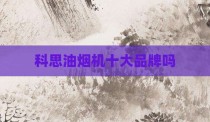 科思油烟机十大品牌吗