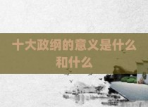 十大政纲的意义是什么和什么