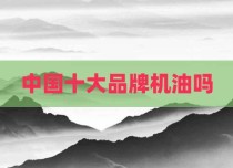 中国十大品牌机油吗