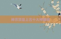 神农顶是上古十大神器吗