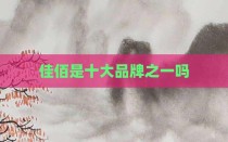 佳佰是十大品牌之一吗