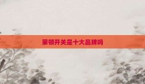 蒙顿开关是十大品牌吗
